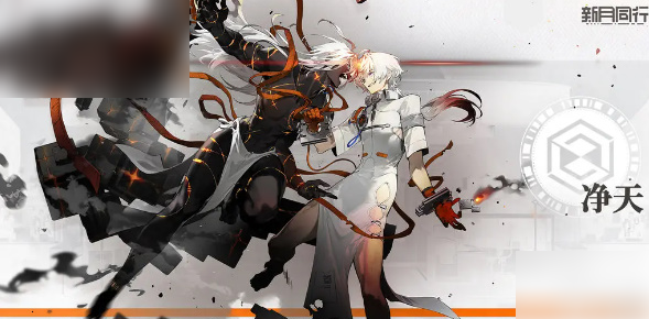 新月同行净天卡带怎么选择1