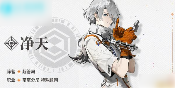 新月同行净天卡带怎么选择4