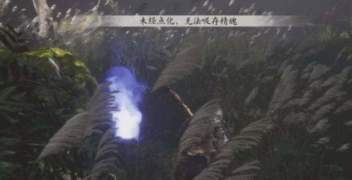 黑神话悟空精魄无法点化怎么办1