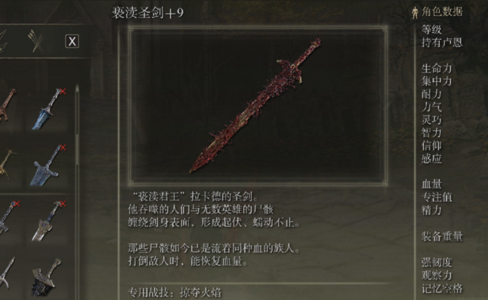 艾尔登法环最强信仰流派加点2