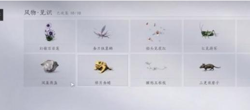 燕云十六声风物怎么收集4