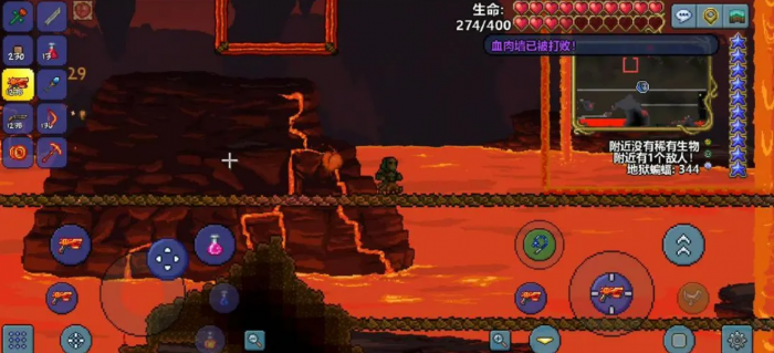 泰拉瑞亚中哪个宠物实力出众3