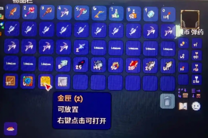 泰拉瑞亚金匣子在哪能钓到1