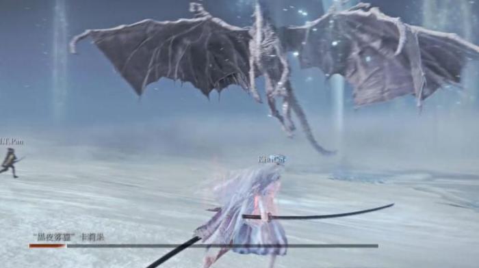 艾尔登法环冰龙怎么打1