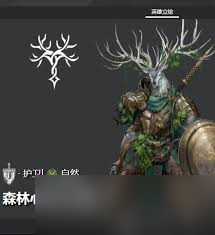 地下城堡4森林守护者怎么介绍3