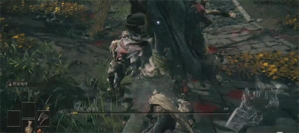 艾尔登法环缝合怪怎么打2