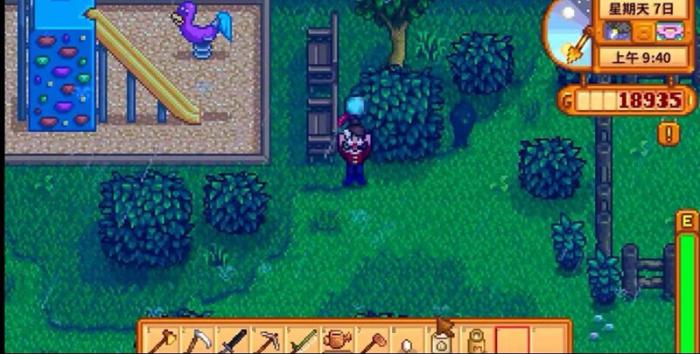 星露谷物语花舞节在哪举办1