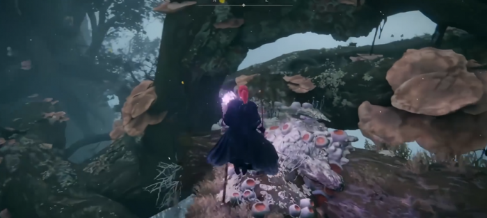 艾尔登法环艾布雷菲尔怎么去2