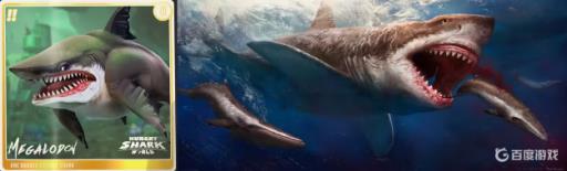 在饥饿鲨进化的鲨鱼排行榜中巨齿鲨排第几名?1