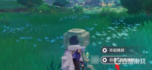 原神反雷电将军特训任务怎么过?2