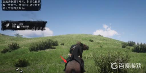 荒野大镖客2血骝色纯血马在哪抓?5