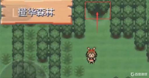 究极绿宝石5.4百花林在哪?2