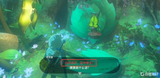 塞尔达似爪非爪足中帝王在哪杀?2