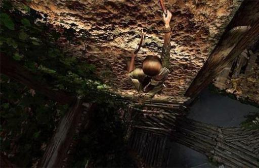 古墓丽影猎鹰的试炼怎么过?3