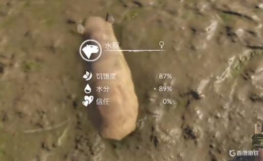 绿色地狱怎么养动物?8