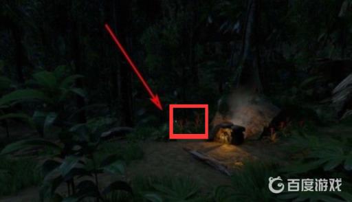 绿色地狱死藤水材料在哪?2