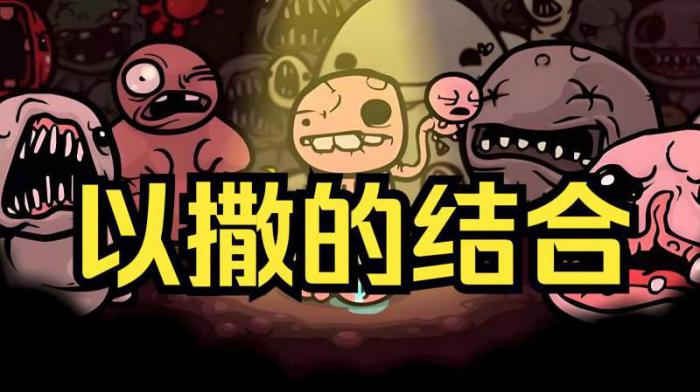 以撒的结合怎么双人2