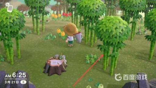 集合啦！动物森友会无人岛的类型有哪些?3