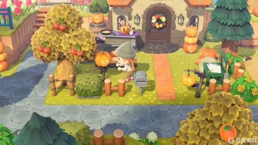 动森怎么获得大头菜种子?1