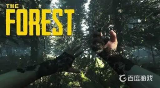 森林可以家庭共享吗?1