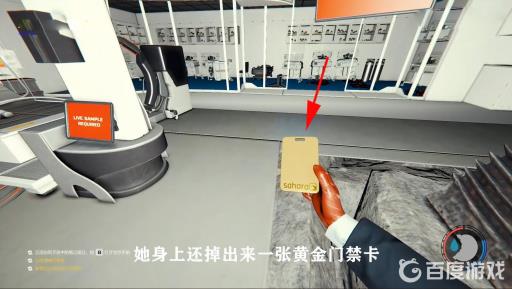 森林船上的密码门怎么打开?2