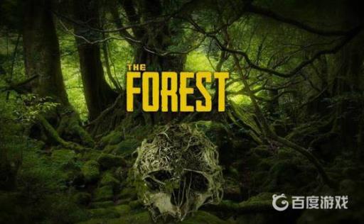 森林传送队友代码是什么?1