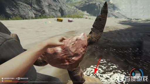 森林的乌龟壳去哪收集?5