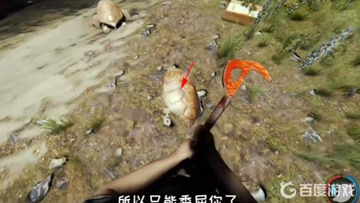 森林水源怎么取水?4