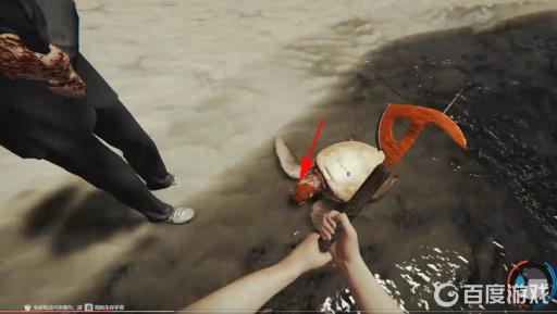 森林龟壳怎么获得?4