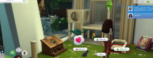 模拟人生4怎么养兔子?3