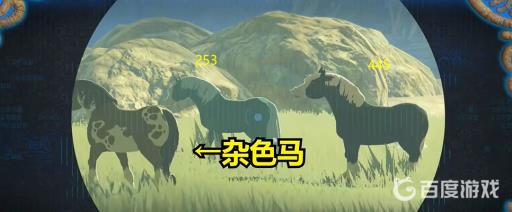 塞尔达林克的马在哪儿抓?3