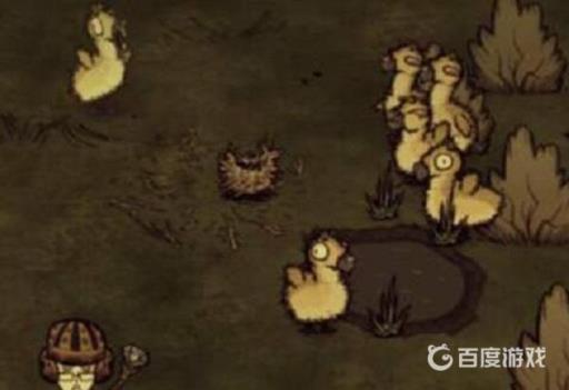 饥荒鹿鸭蛋怎么处理?1