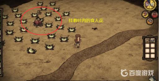 饥荒海难食人花怎么利用?2