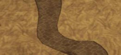 饥荒猪王在哪?2