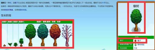 星露谷物语橡树怎么种?2