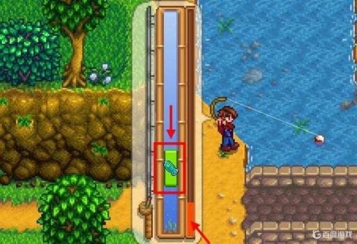 星露谷西鲱鱼在哪里钓?4