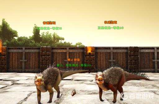 方舟偷东西的龙叫什么?2