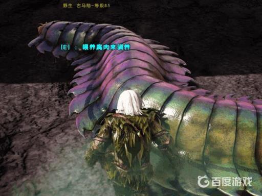 方舟古马陆怎么驯服?3