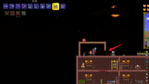 泰拉瑞亚怎么安装门?3