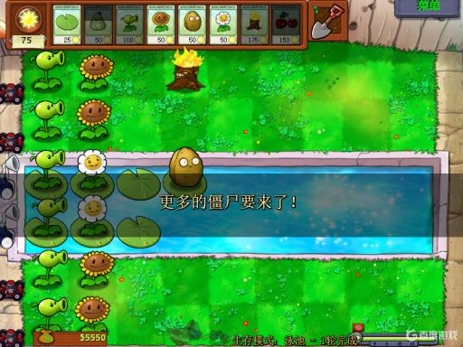 植物大战僵尸生存泳池3