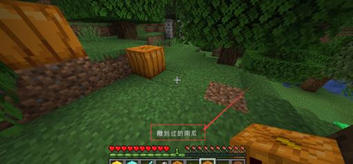 我的世界野南瓜怎么找?4