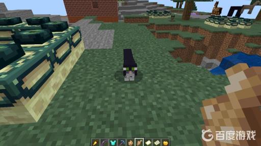 我的世界豹猫怎么驯化跟上自己?2