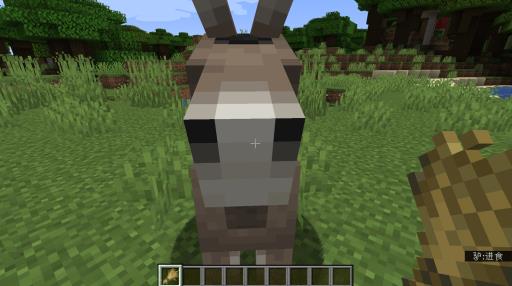 我的世界骡子怎么驯服?3