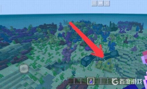 我的世界珊瑚区域怎么找?4