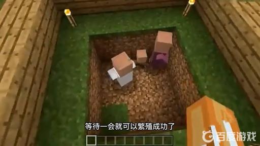 我的世界村庄里的村民怎么繁殖?4