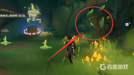 原神须弥的钵参花的山洞怎么进去?4