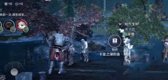 黑色沙漠卡亚之湖知识攻略2