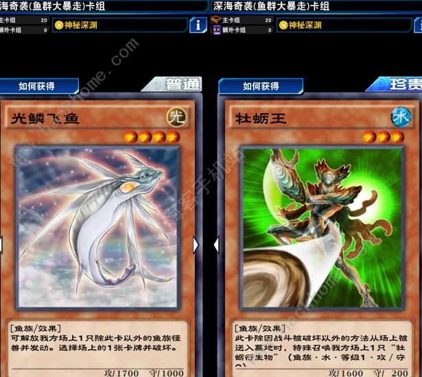 游戏王决斗链接鱼族卡组怎么搭配2
