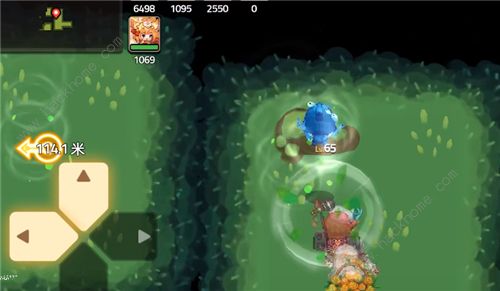 坎公骑冠剑猛虎村全收集攻略6