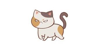 喵呜开门新手攻略2